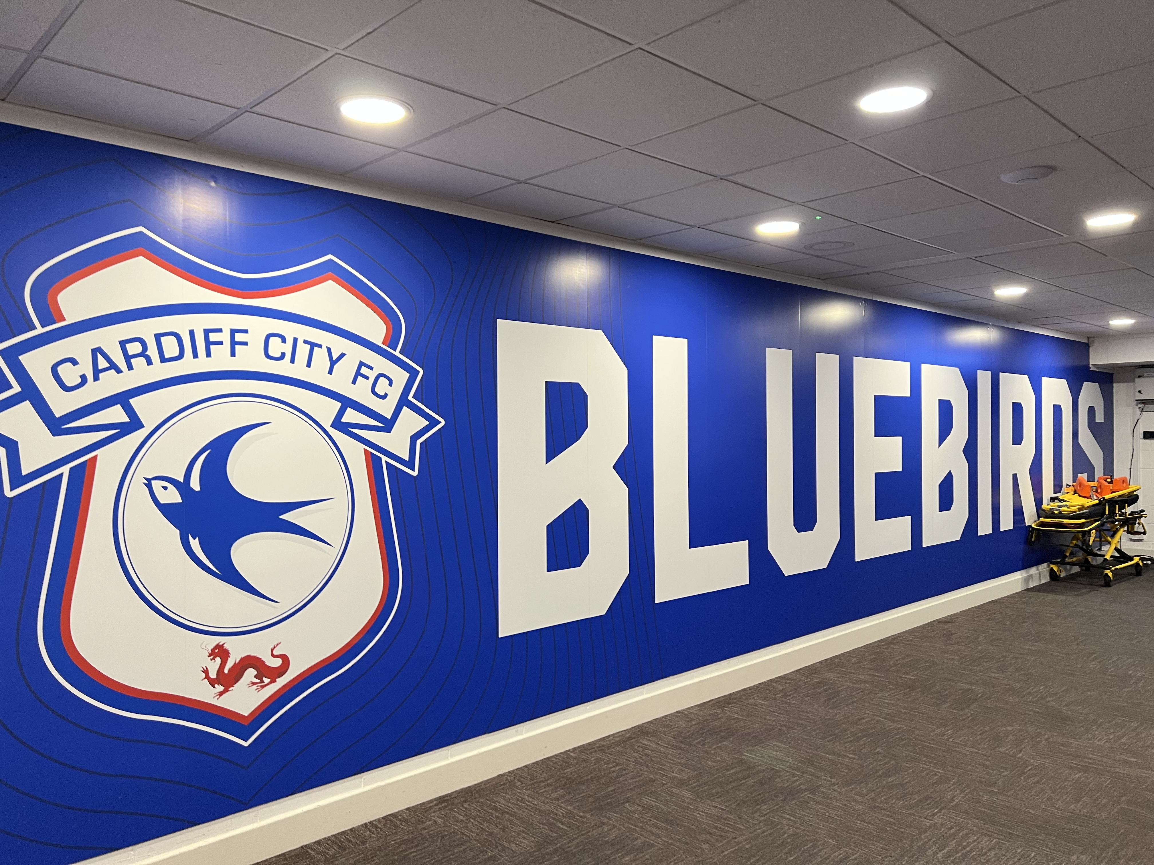 Discovering the Magic of Cardiff City Stadium: Home of the Bluebirds
